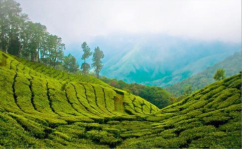 Hotel Munnar Dreams Exteriér fotografie